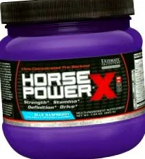 horse