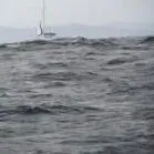 повторно