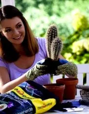 plantelor propagarea