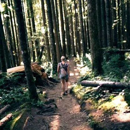 forest