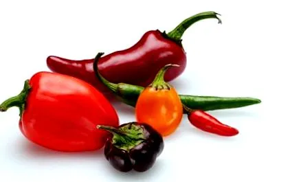 chilivel