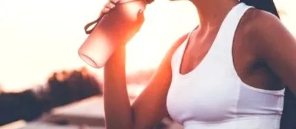 lipsa