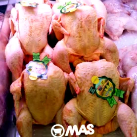 különbségek
