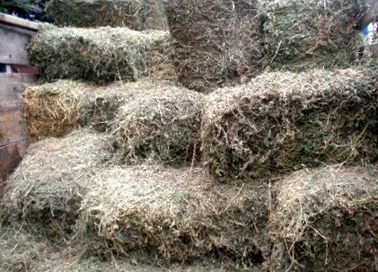 всеки