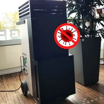 ниво