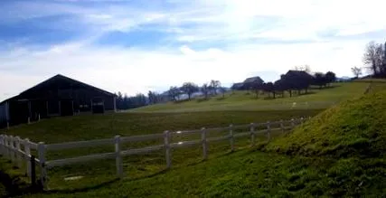 slăbește