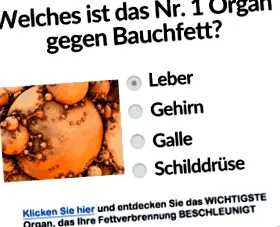 nélkül