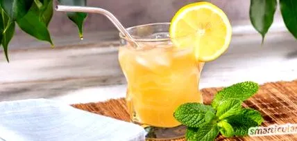 limonadă