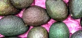 lúgos