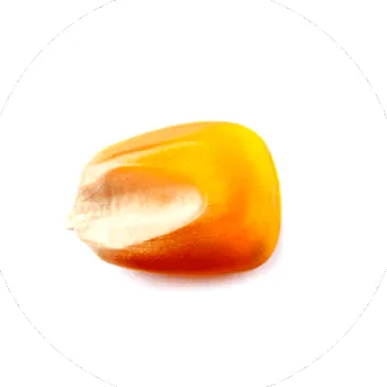bcaa
