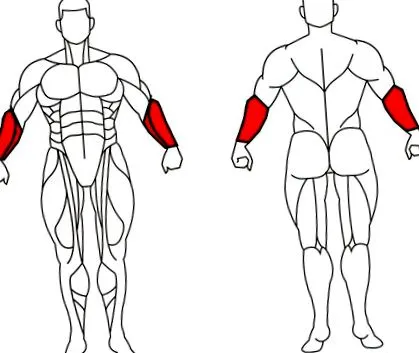 https marvinsfitnessblog
