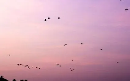 лікування