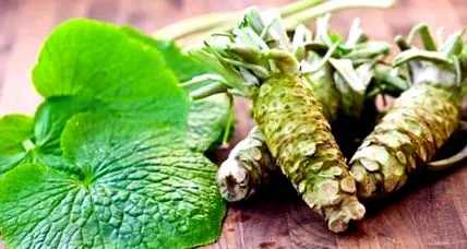 wasabi