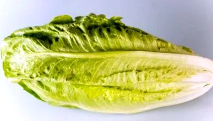 örömbe