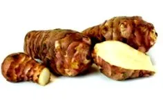 csicsóka