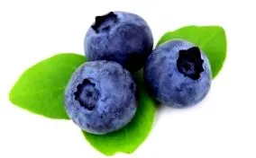 smoothies