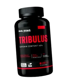 terrestris