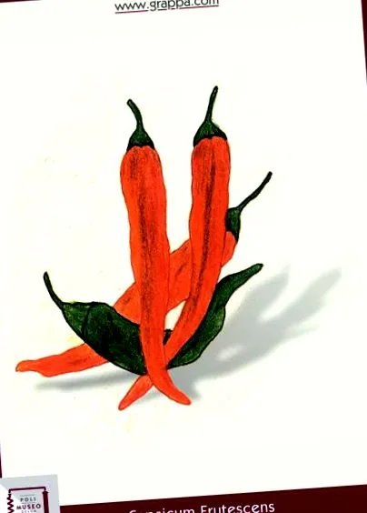likőr