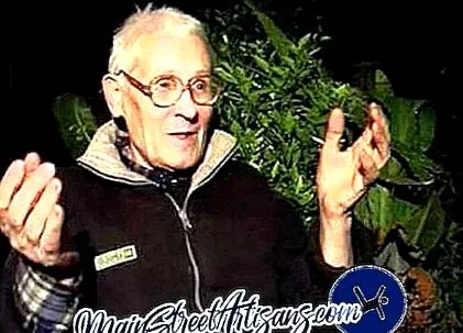 boris bolotov
