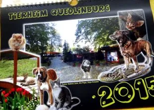 ноември 2014 летопис