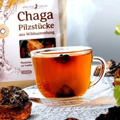 ciupercă