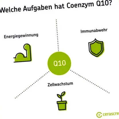 coenyzm