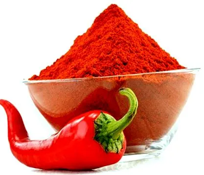 kapszula