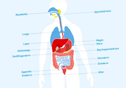 ibd-vel
