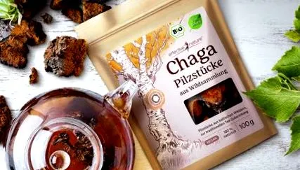 chaga