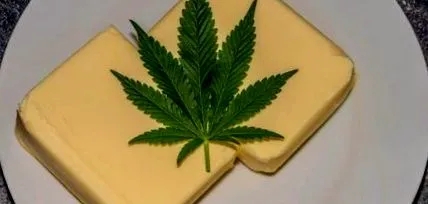canabutter canabutter