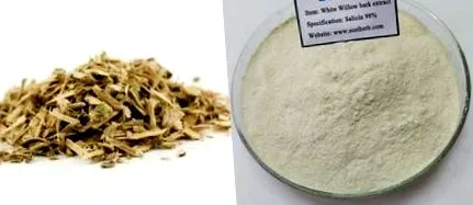 scoarță