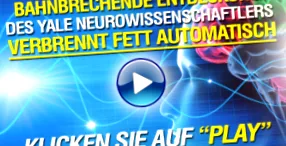 rendszer