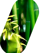 szálak