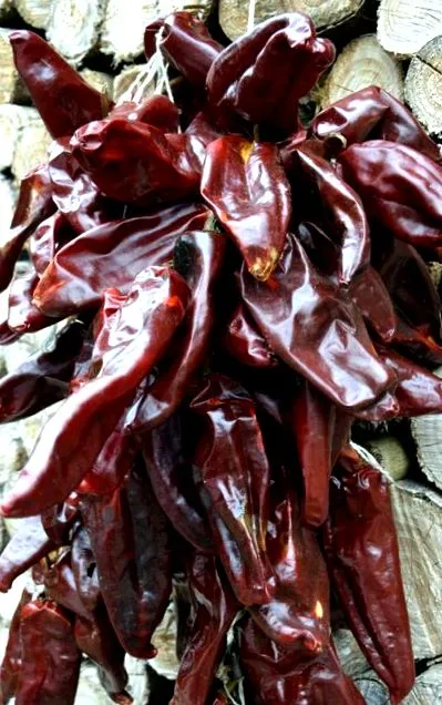 chorizo ​​paprika