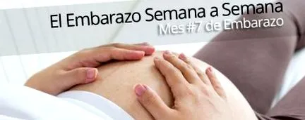 terhesség