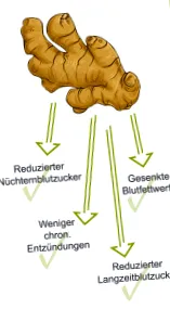 mellitus diabetes