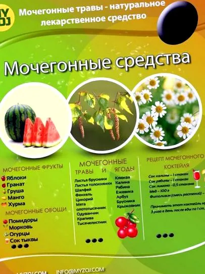 Диуретични билки