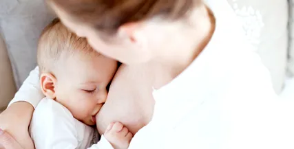 mamelor