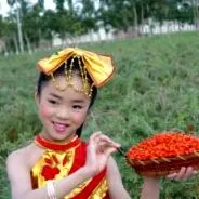 boabele goji