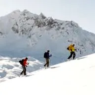 брзо пешачење