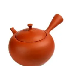 правиот