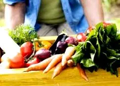 tanítja