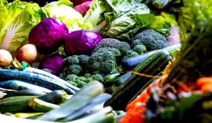 výživu