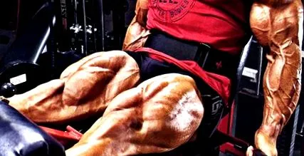 rectus femoris