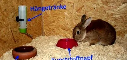 optimális optimális