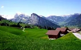 descărcați
