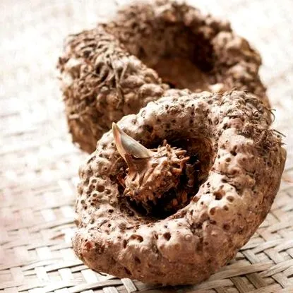 pulbere konjac