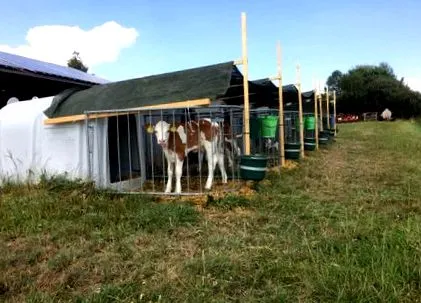 dürre2018 căldură
