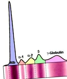 áttekintés