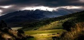 descoperă